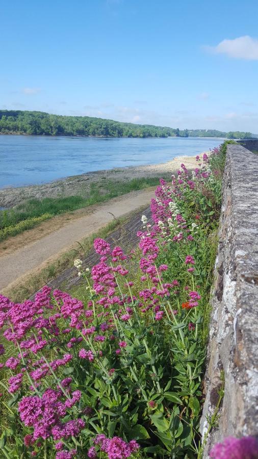 Le Cosy Loire Appart Apartamento Les Rosiers Exterior foto