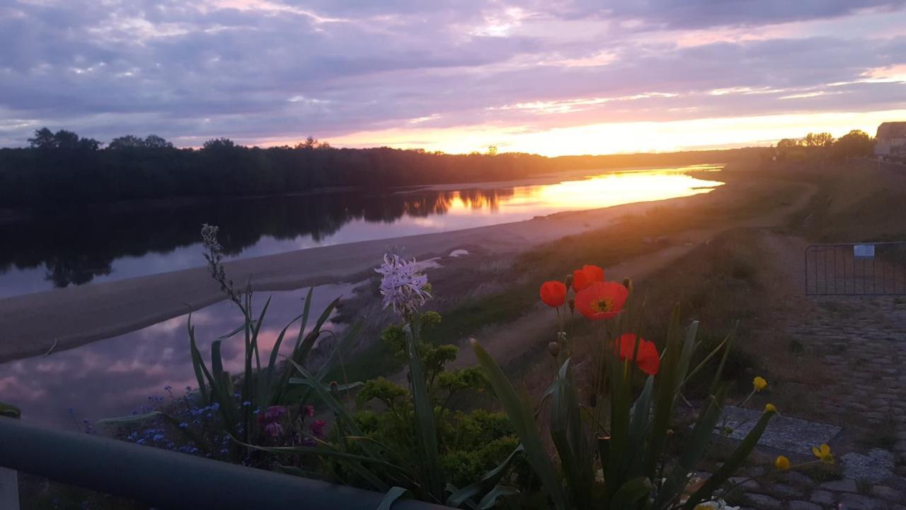 Le Cosy Loire Appart Apartamento Les Rosiers Exterior foto